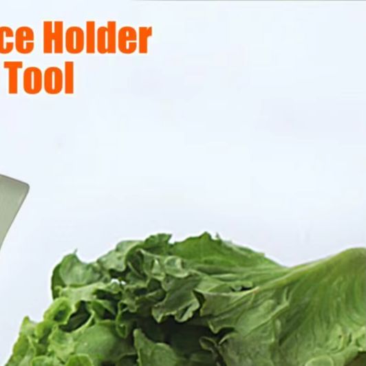 Vegetable Slicing Tool Onion S - огляд і ціна Onion Holder Slicer